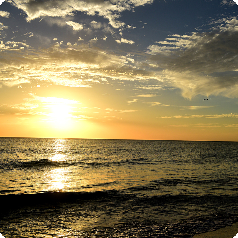 Persönliche astrologische Jahresvorschau 2025