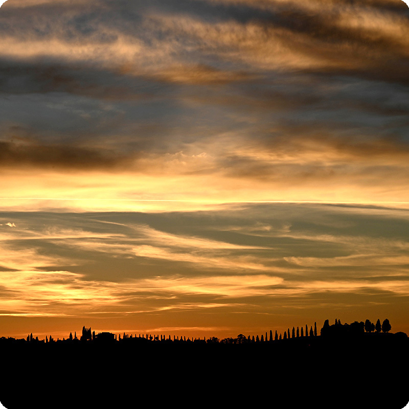 Saturn in den Fischen